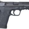 EZ 380 ACP Pistol