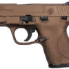 9mm Carry Conceal Pistol